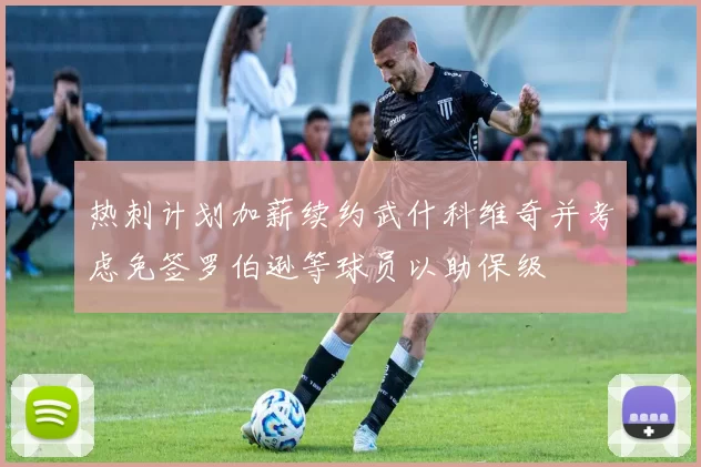 热刺计划加薪续约武什科维奇并考虑免签罗伯逊等球员以助保级
